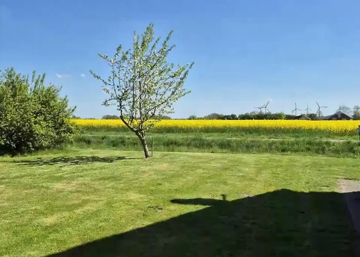 Διαμέρισμα Krabbe 1 In Bensersiel Mit Garten & Terrasse Holtgast